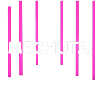 MECHUTA duo rock